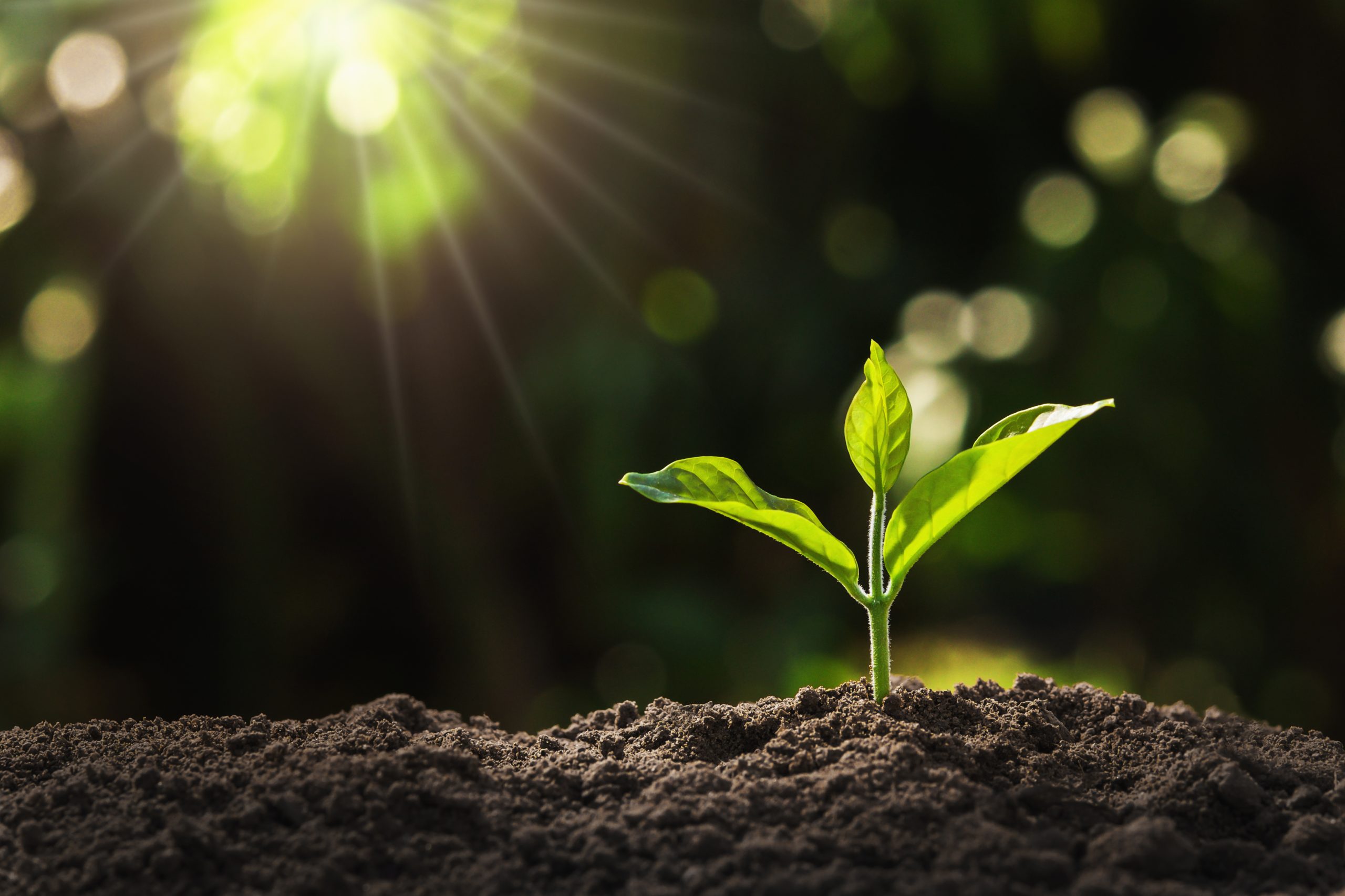 #studentviews: Should we really aim for growth growth and growth