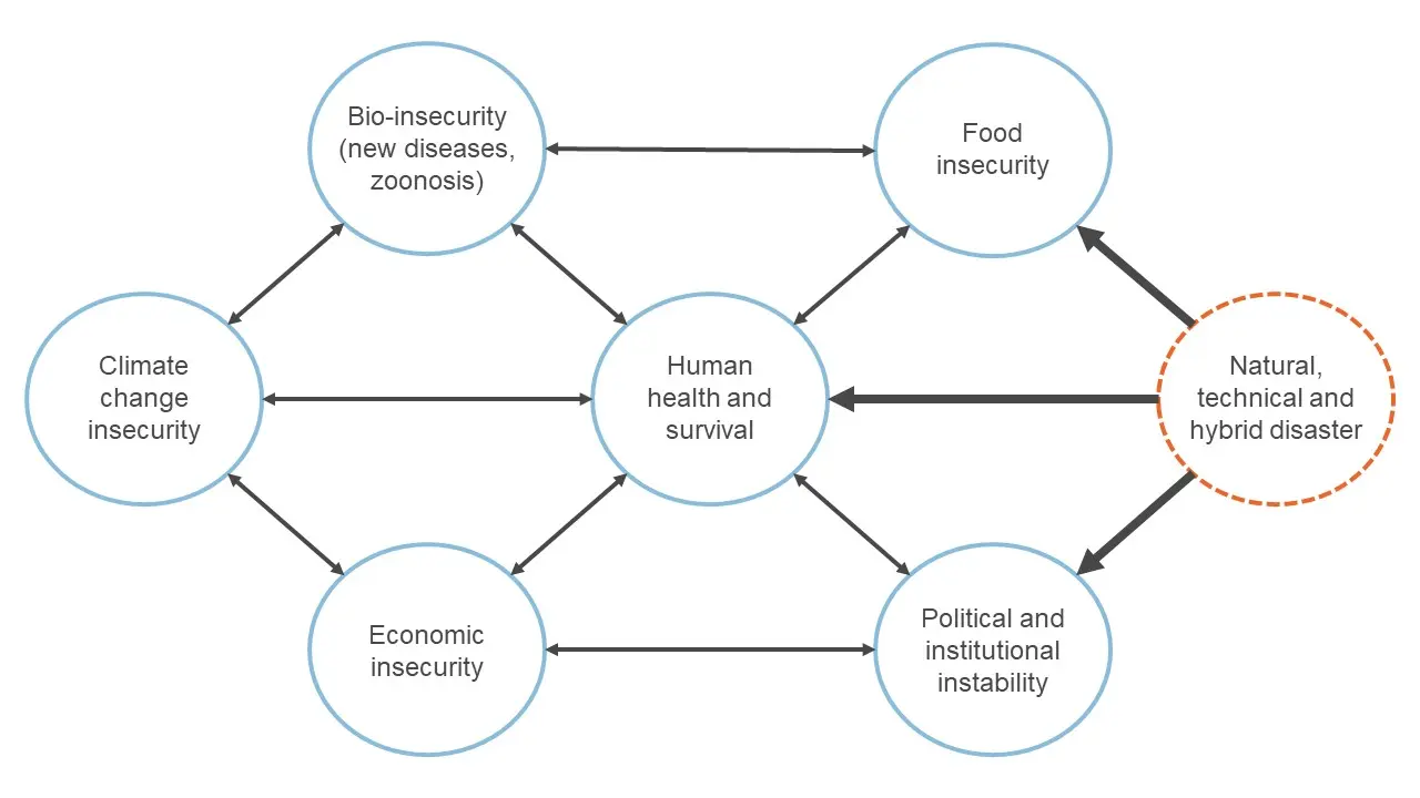 Figure showing connections between different types of insecurity.
